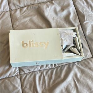 Blissy Silk Pillowcase Set in Silver